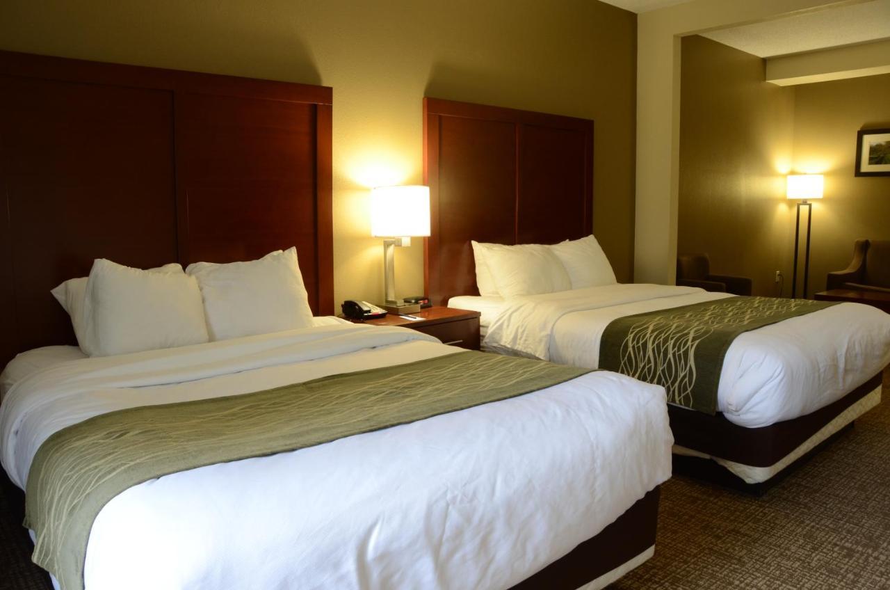 Hotel Comfort & 2*