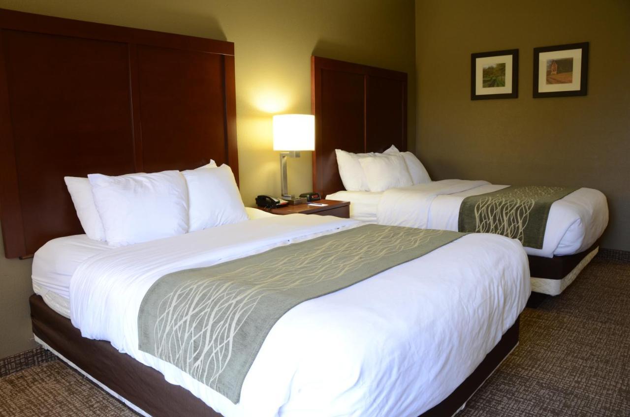 Comfort & Hotel 2*